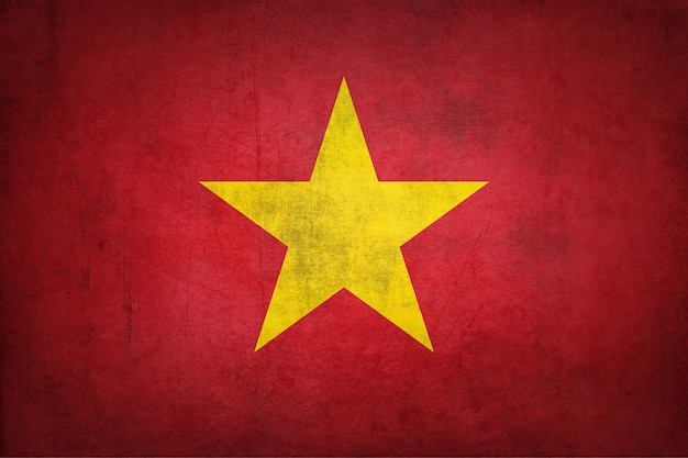 De vlag van Vietnam met grungetextuur.