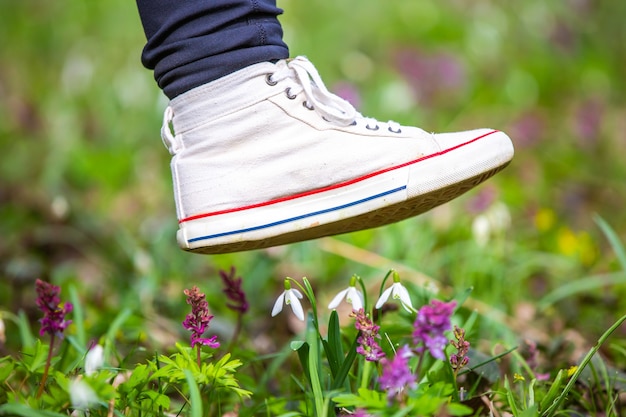 De voet van een vrouw schoenen stapt op zeldzame bloemen in nationaal park, botanische tuin, schade aan de natuur, milieuconcept