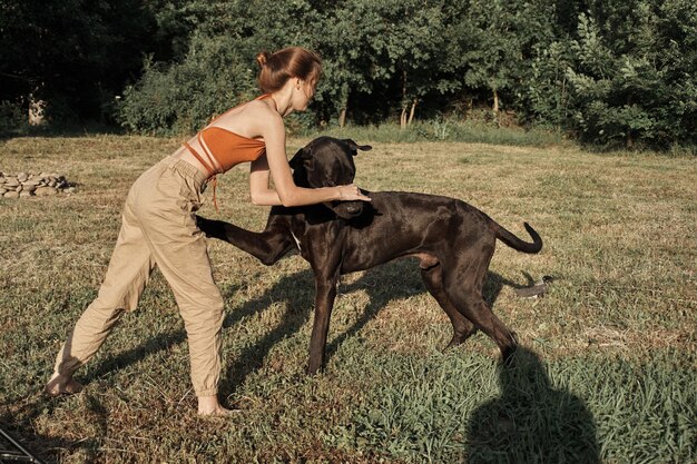 De volledige lengte van een hond op het veld