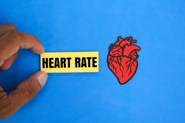 Foto de vorm van het hartorgel en gekleurd papier met het woord hartslaggezondheid en medische concepten
