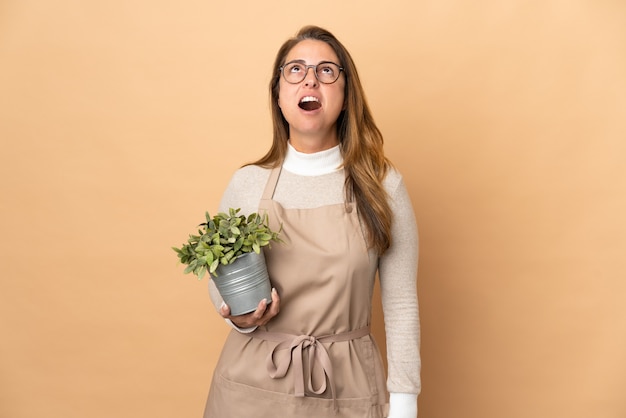 De vrouw die van de middelbare leeftijdstuinman een geïsoleerde plant houdt