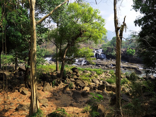 De waterval in Jungle Laos