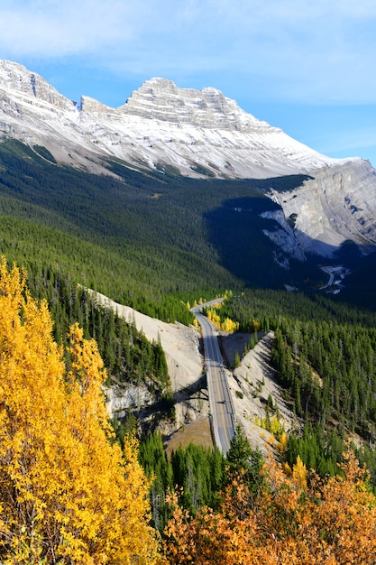 De weg 93 Icefield Parkway in Autumn Jasper National park