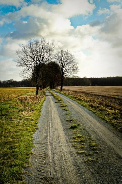 Foto de weg die door het veld loopt