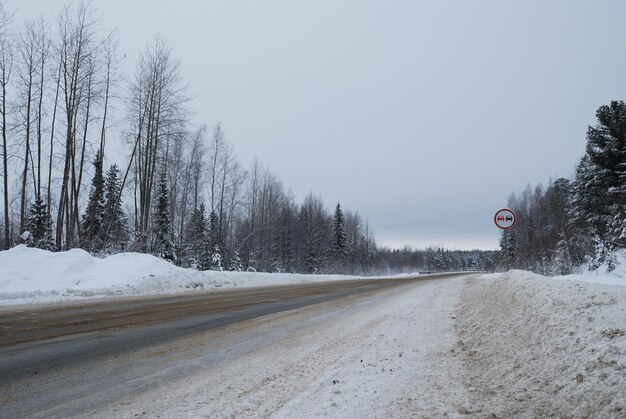 De weg door het winterbos op een bewolkte ochtend in januari west-siberië, rusland