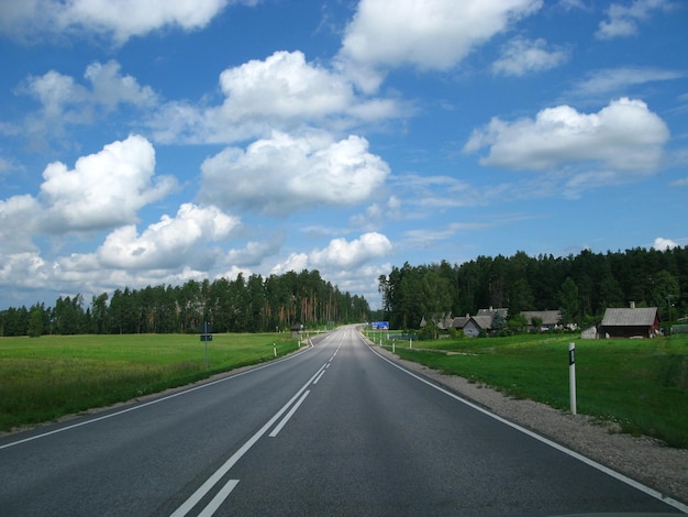 De weg in de bossen van Estland