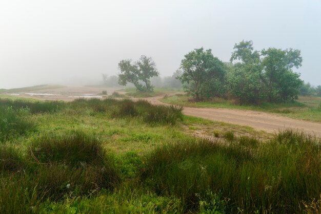 De weg langs de zeekust in de vroege ochtend in een mist. Krim. Het dorp Molochnoye.