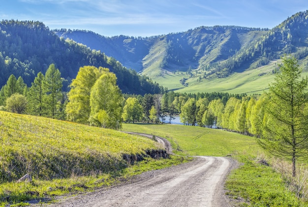 De weg langs het bos, voorjaarsweiden en velden