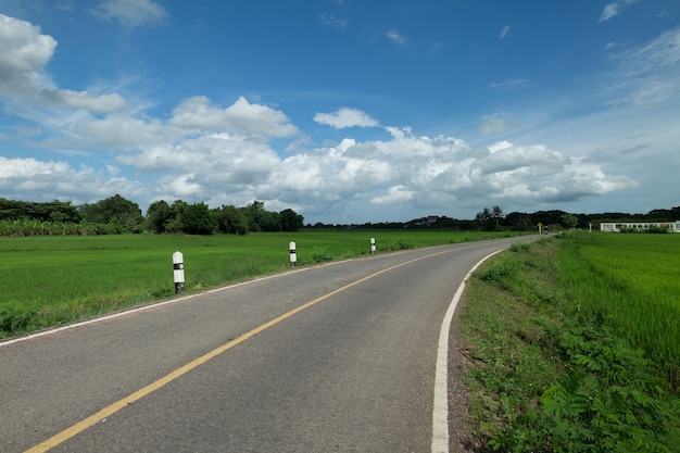 De weg loopt door groen padieveld