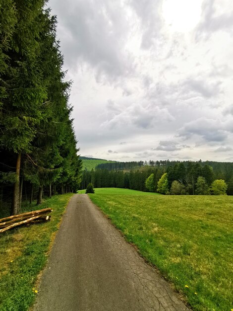 De weg midden in het groene landschap tegen de lucht.