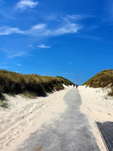 Foto de weg midden in het land tegen de blauwe hemel