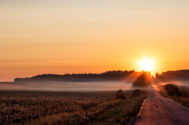 Foto de weg midden in het veld tegen de hemel tijdens de zonsondergang