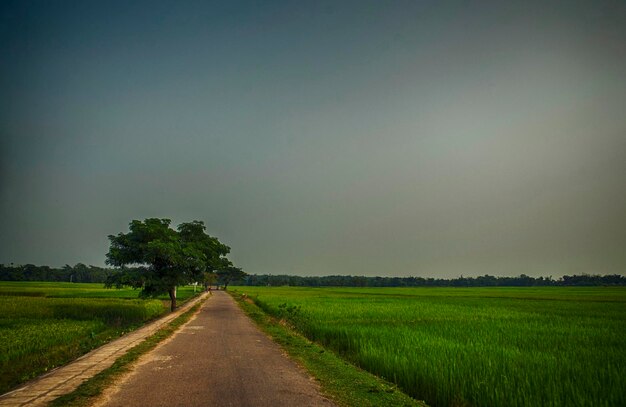 De weg midden in het veld tegen de lucht.