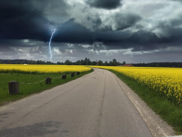 Foto de weg midden in het veld tegen de lucht.