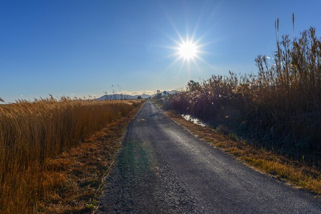 Foto de weg midden in het veld tegen de lucht.