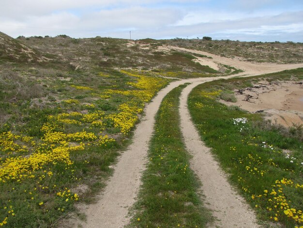 Foto de weg midden in het veld tegen de lucht.