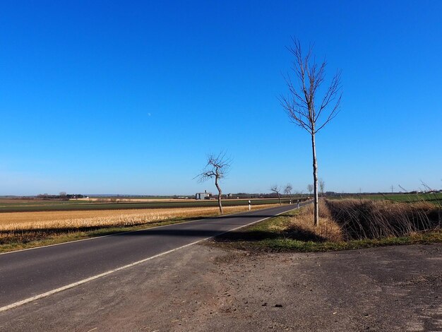 De weg midden in het veld tegen een heldere blauwe hemel.