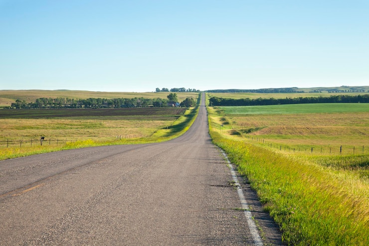 Foto de weg midden in het veld tegen een heldere hemel.