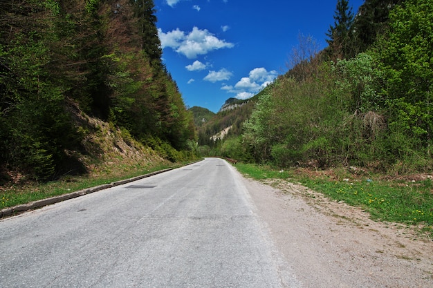 De weg op groene bergen van Bosnië en Herzegovina