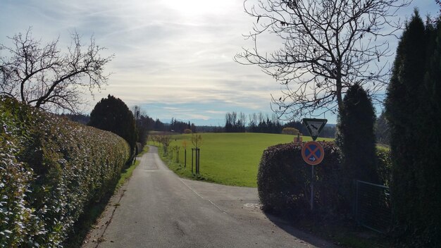 Foto de weg tussen de blote bomen tegen de lucht.