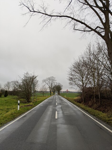 Foto de weg tussen de blote bomen tegen de lucht.