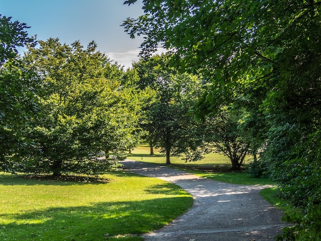 Foto de weg tussen de bomen in het park tegen de lucht.