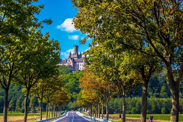 Foto de weg tussen de bomen leidt naar het kasteel van marienburg.