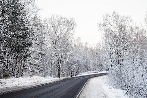 Foto de weg tussen de bomen tegen de lucht in de winter