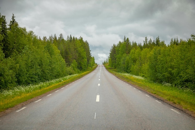 De weg tussen de bomen tegen de lucht.