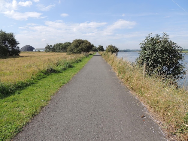 De weg tussen de bomen tegen de lucht.