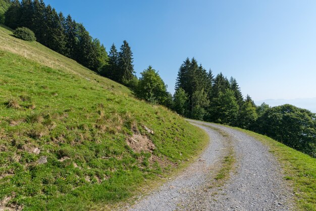 Foto de weg tussen de bomen tegen de lucht.