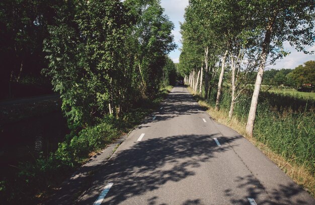 Foto de weg tussen de bomen