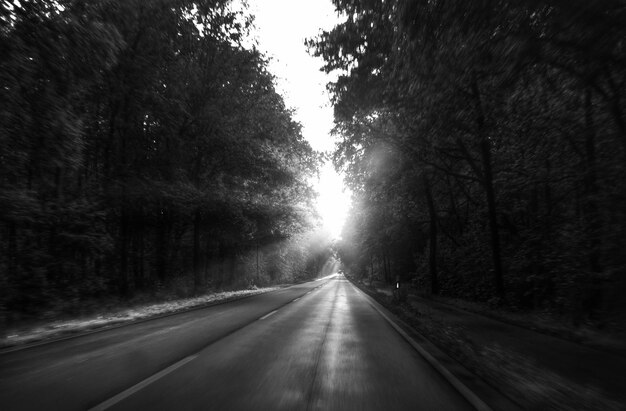 De weg tussen de bomen