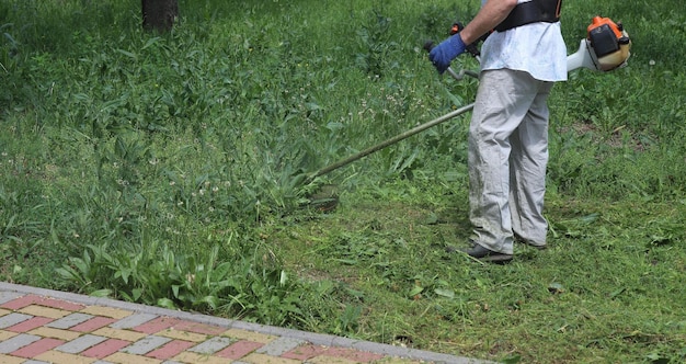 De werknemer maait het gras met een trimmer