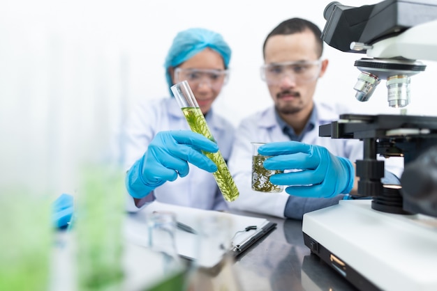 De wetenschapper test het natuurlijke productextract, de olie en de biobrandstofoplossing in het chemielaboratorium.