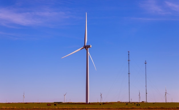 De windturbines op het windpark van texas schone duurzame energie
