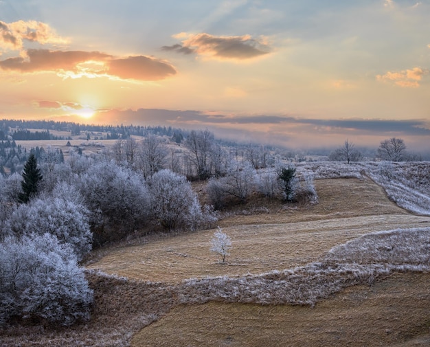 De winter komt eraan Pittoreske pre-zonsopgangscène boven het late herfstberglandschap met rijp op de hellingen van grassenbomen Vreedzame zonlichtstralen van bewolkte hemel Oekraïne Karpaten