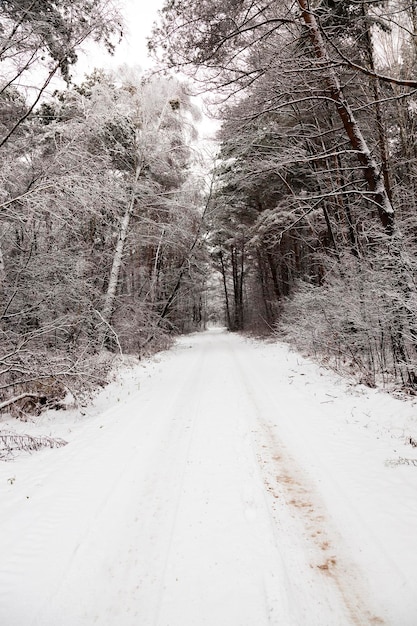 De winter weg