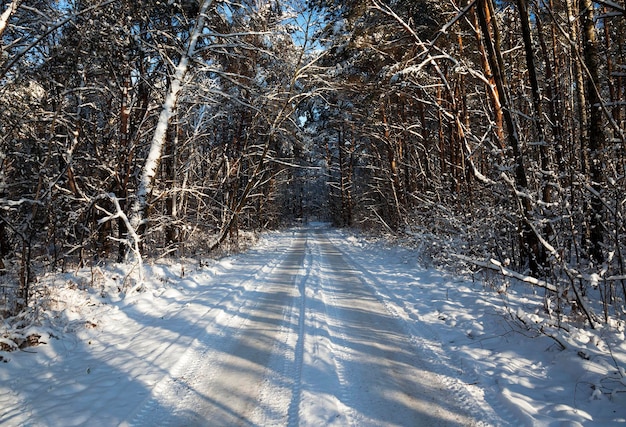 De winter weg