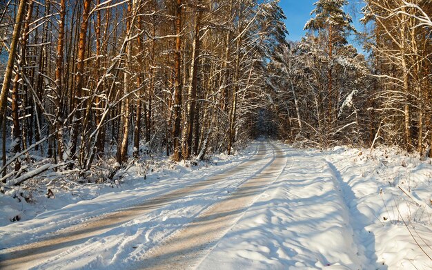 De winter weg