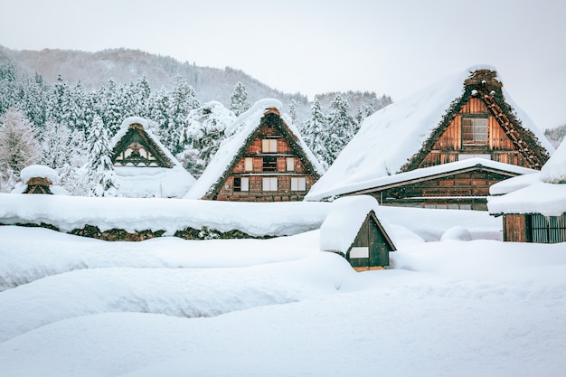 De wintersneeuw Shirakawa gaat dorp in Japan