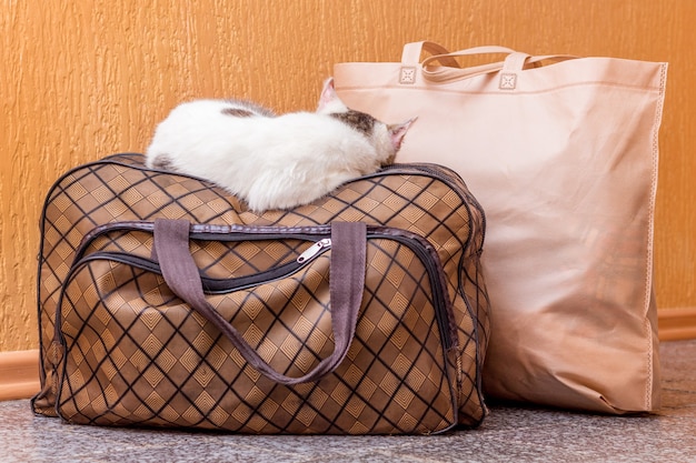 De witte kat zit op een koffer. Wachten op de trein op het treinstation. Passagier met koffer onderweg