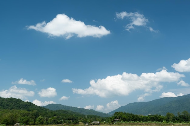 De witte wolken hebben een schilderachtige en landelijke vorm De lucht is bewolkt en blauw