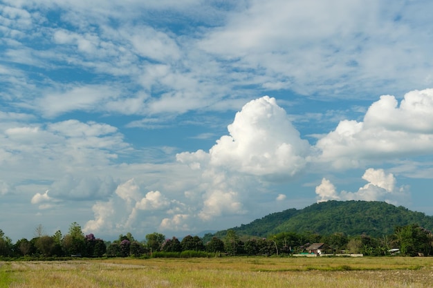 De witte wolken hebben een schilderachtige en landelijke vorm De lucht is bewolkt en blauw