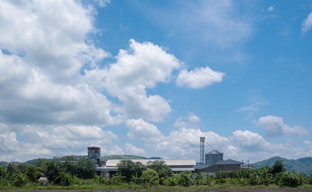 De witte wolken hebben een vreemde vorm en platteland