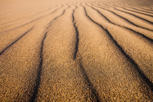 De woestijnduinen van Huacachina in Peru