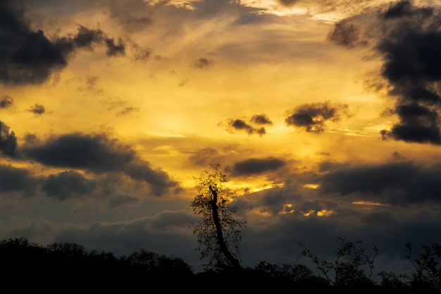 De wolken van de cumuluszonsondergang met zon het vaststellen