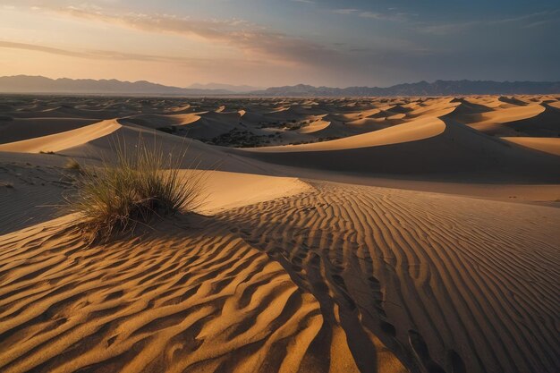 Foto de zandduinen bij de echoing sand mountain in de buurt