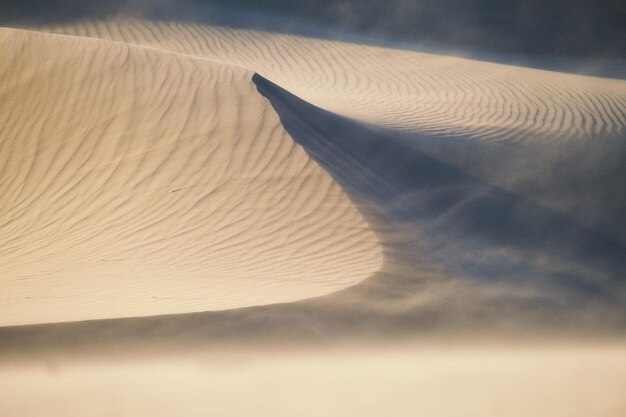 Foto de zandduinen tijdens zonsondergang en sterke wind zomerlandschap in de woestijn heet weer lijnen in het zand landschap zonder mensen