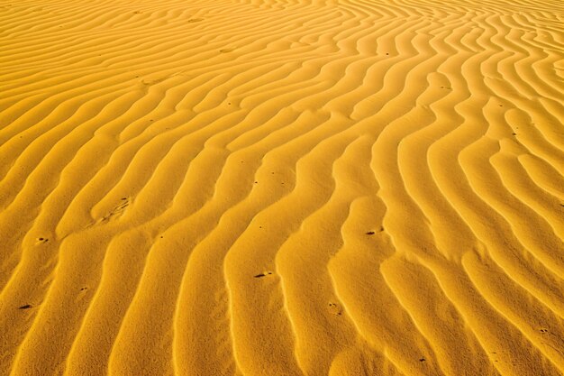 De zandduinen zijn een populaire vorm van golven.